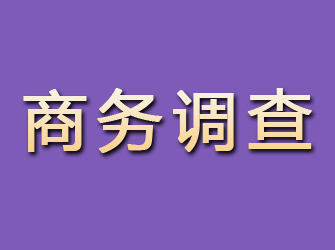 惠城商务调查